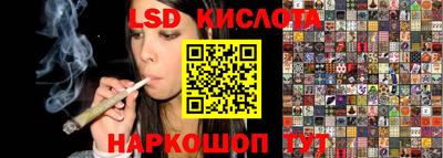 прущие грибы Лесосибирск