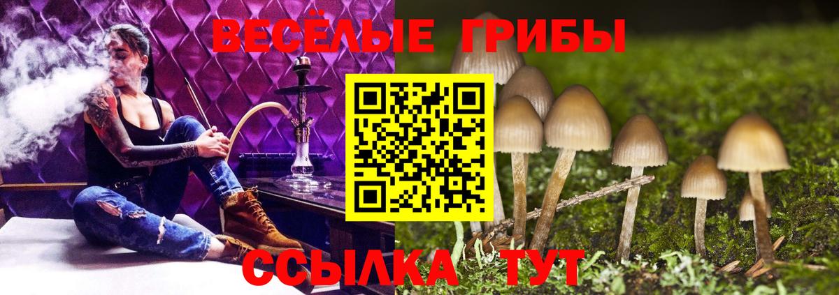 Галлюциногенные грибы Cubensis  Вход с VPN  Псилоцибиновые грибы Magic Shrooms  Дербент 